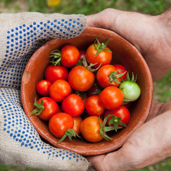 Discover Banking for Impact on Climate in Agriculture