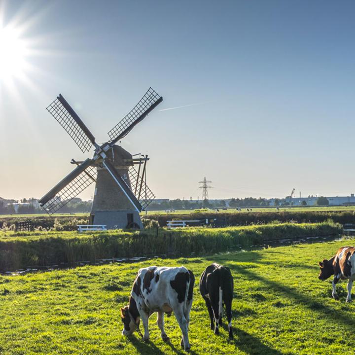 Friesland Campina - Biodiversity Monitor and Foqus Planet